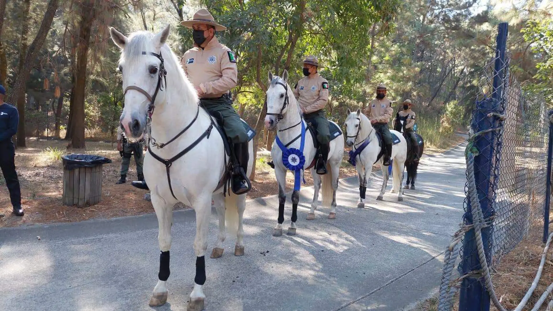 Donativo caballos